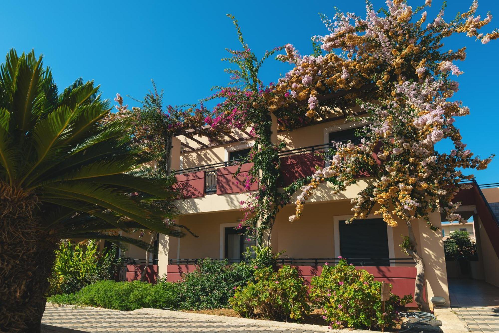Kambos Village Agia Marina Dış mekan fotoğraf